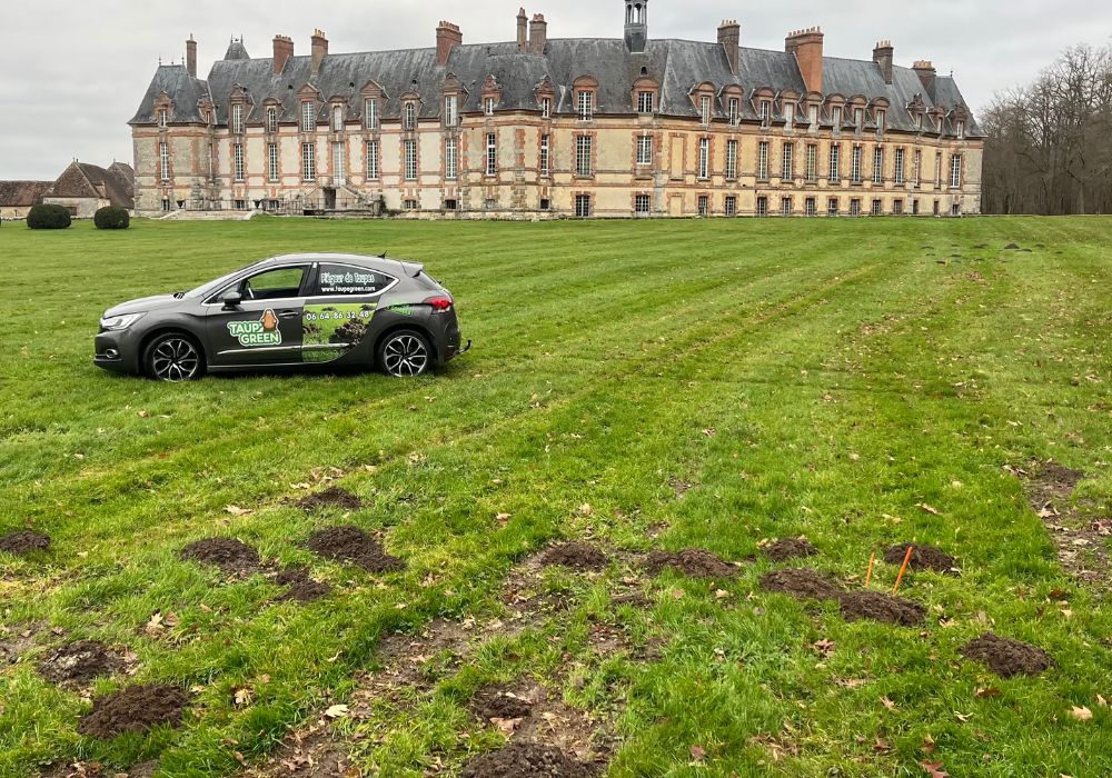Piégeage écologique des taupes à Lille : techniques traditionnelles et solutions durables avec Taupe Green (Nord – 59)