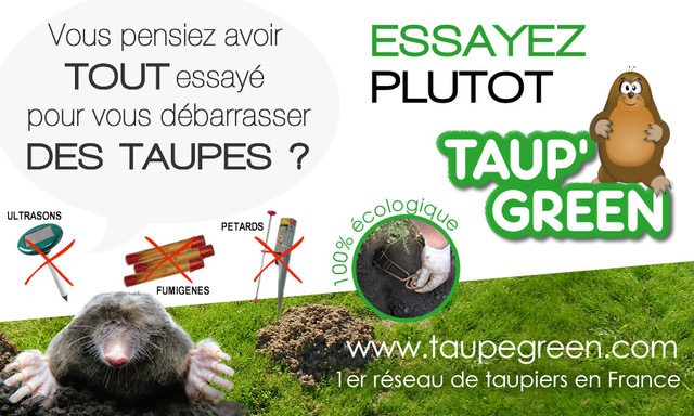 Taupier professionnel en Normandie : anti-taupes dans le 76 et le 27