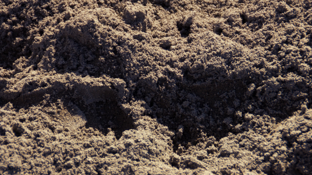 Taupes sur les terrains de sport et les golfs : un enjeu de sécurité et de qualité des surfaces de jeu